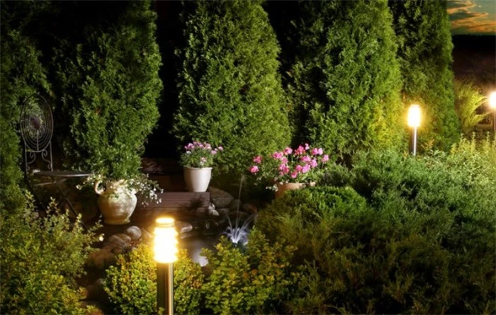 The Garden